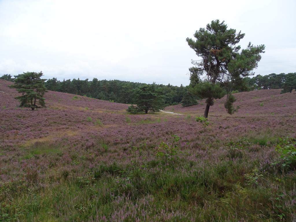 Vakantie Appartement Paedshof Ransdaal Exteriér fotografie